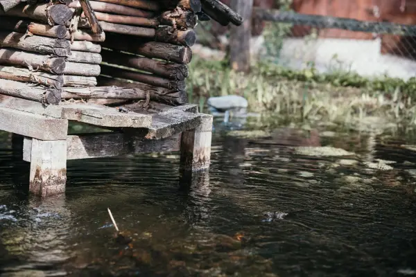 Kleine Blockhütte auf Stelzen über einem Weiher, Nahaufnahme